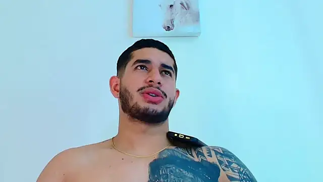 king falconer online show from 3, 2, 2026