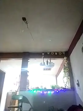 Snapshot of perrotjuui97 chatting on 15, 11, 2025 perrotjuui97 online show from 15, 11, 2025