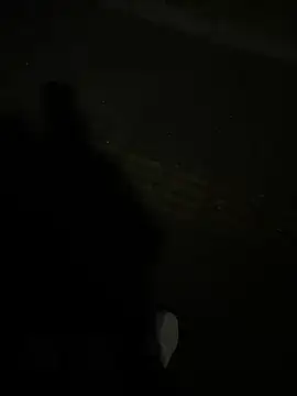 SL NIKI PUBLIC online show from 22, 12, 2025