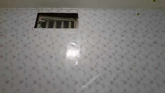 Roselingalvis13 online show from 2, 2, 2026