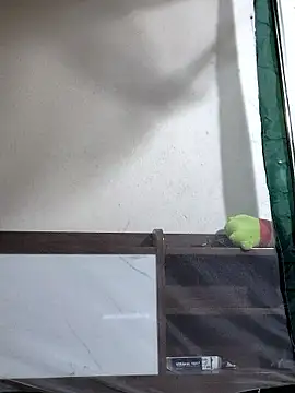 Snapshot of Maria2299 chatting on 6, 11, 2025 Maria2299 online show from 6, 11, 2025