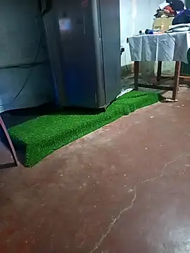 Snapshot of BabyHansi chatting on 29, 3, 2026 BabyHansi online show from 29, 3, 2026