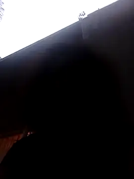 RFeltomWhitJ online show from 8, 11, 2025