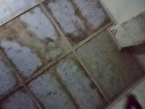 RFeltomWhitJ online show from 17, 11, 2025