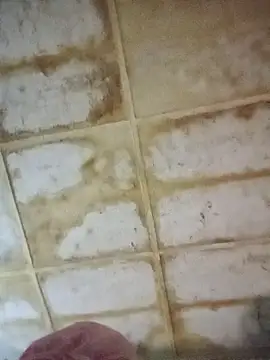 RFeltomWhitJ online show from 18, 11, 2025