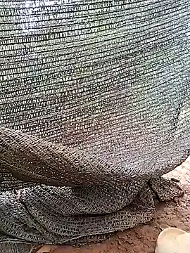 Tina 2pp online show from 5, 11, 2025