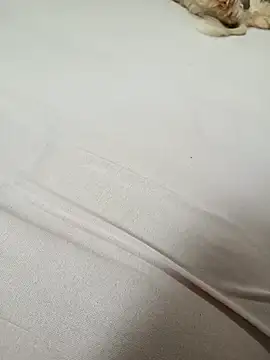 SIGILOCUIABA online show from 17, 1, 2026