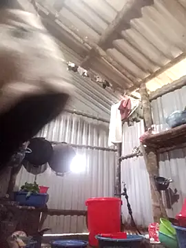 jienrrr online show from 17, 12, 2025