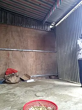 yoowwmr online show from 3, 2, 2026