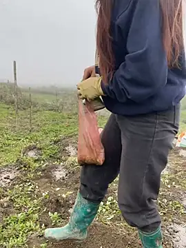 Snapshot of isaaa5 chatting on 17, 3, 2026 isaaa5 online show from 17, 3, 2026