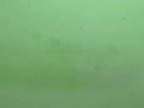 Snapshot of rockyy23boy chatting on 15, 10, 2025 rockyy23boy online show from 15, 10, 2025