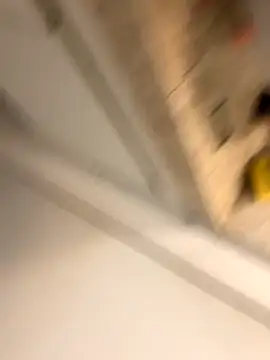 Teyxa19cm online show from 31, 10, 2025