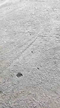 vaibhav0897 online show from 22, 11, 2025