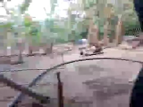 BigBoobs186 online show from 10, 11, 2025