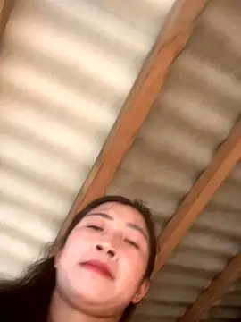 ThiHa003 online show from 10, 10, 2025