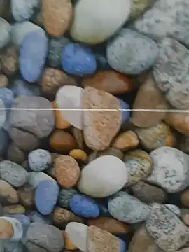 coocon2020 online show from 28, 10, 2025