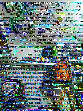 ISHANI-SINGH online show from 29, 11, 2025