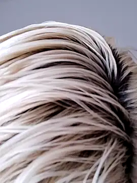 VikaKing online show from 12, 10, 2025