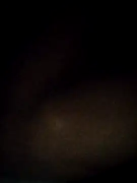 Snapshot of t2pnb chatting on 3, 12, 2025 t2pnb online show from 3, 12, 2025