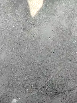 Snapshot of t2pnb chatting on 4, 12, 2025 t2pnb online show from 4, 12, 2025