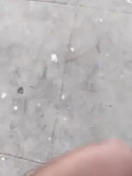 Wet BunnyFun online show from 5, 11, 2025