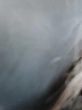 Snapshot of meomeocute chatting on 11, 3, 2026 meomeocute online show from 11, 3, 2026