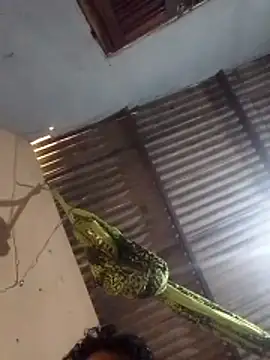 Snapshot of mayevviaqui chatting on 11, 3, 2026 mayevviaqui online show from 11, 3, 2026