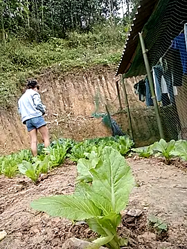 daisy will online show from 19, 1, 2026