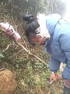 Chaotam1 online show from 3, 2, 2026