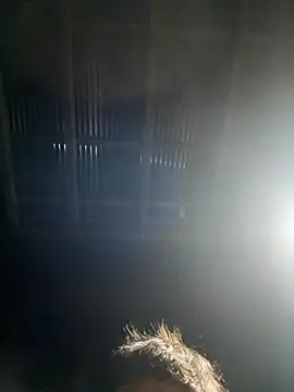 usu0130 online show from 16, 10, 2025