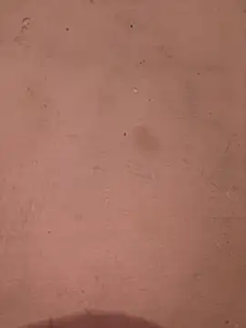 sakshi5533 online show from 28, 11, 2025