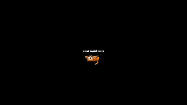 pecsblack888 online show from 29, 9, 2025