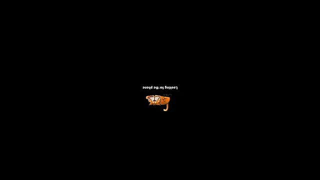 pecsblack888 online show from 2, 10, 2025