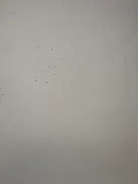 vincentjaxon online show from 27, 11, 2025