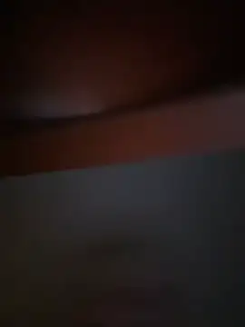 Michel huge online show from 6, 2, 2026