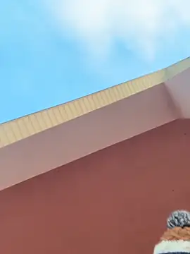 Michel huge online show from 11, 2, 2026