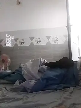 Tan32 11 online show from 17, 1, 2026