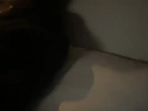 Snapshot of dddasani chatting on 15, 12, 2025 dddasani online show from 15, 12, 2025