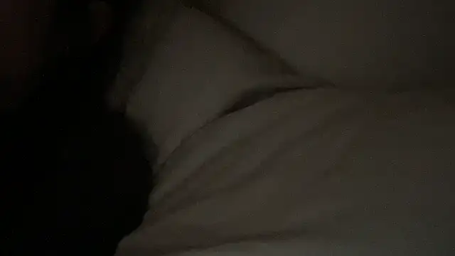 dddasani online show from 17, 1, 2026