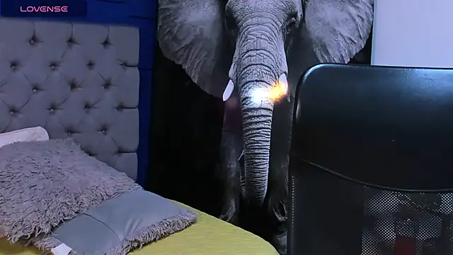 rocoo santos online show from 10, 10, 2025