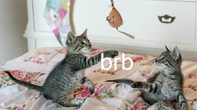 Pink girl0n online show from 18, 3, 2026