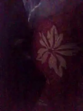 Amin Dz-20 online show from 7, 1, 2026