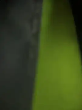 theone3121 online show from 12, 2, 2026