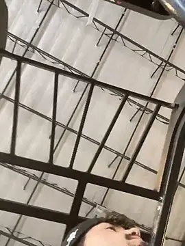 theone3121 online show from 12, 2, 2026