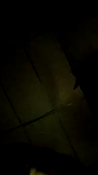 Bosssweet22cm online show from 18, 3, 2026