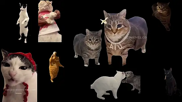 ch0wn m online show from 24, 10, 2025