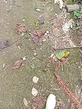 Phuongphuongg online show from 27, 10, 2025