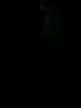 Reeelo online show from 7, 11, 2025