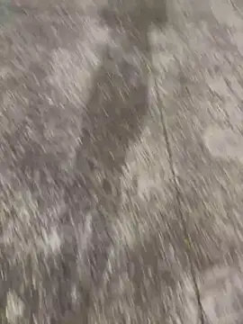 Foxfoxfox4 online show from 28, 11, 2025