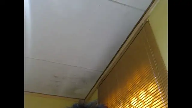 NawtyLisa online show from 3, 3, 2026